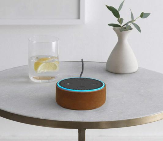 Amazon Echo Dot tok