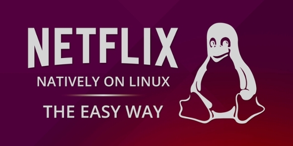 hírlevél-netflix-on-linux-easy-way-MUO