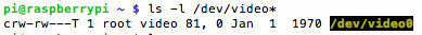 dev-video0