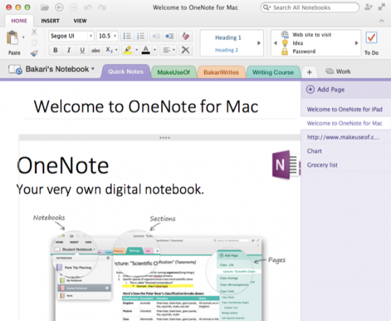 onenote or evernote which is better for mac