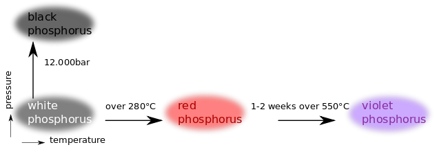 Foszfor-Allotropes.svg