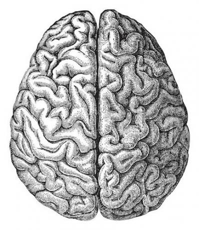 dementiapiece-agy