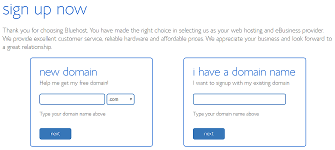 válassza a bluehost domain nevet