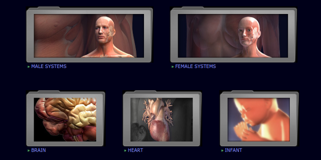 3d-anatómia-modell-3dscience