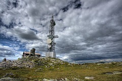 Hogyan lehet túlélni a vadonban a mobiltelefon-árboc segítségével