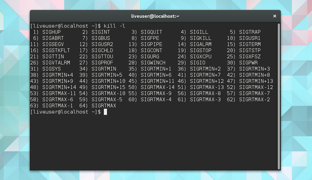 LinuxTaskManager-ölni