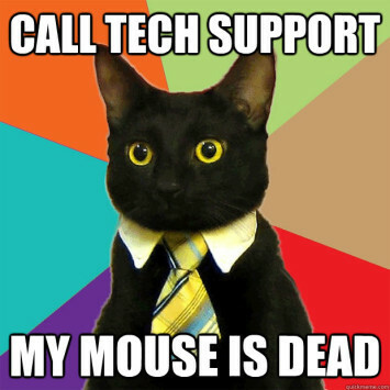 Business Cat Meme technikai támogatás