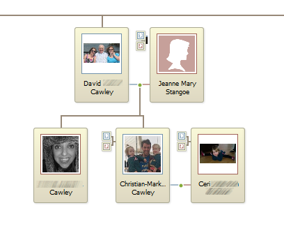Fedezze fel a családfáját Online Family Tree image4 7 1