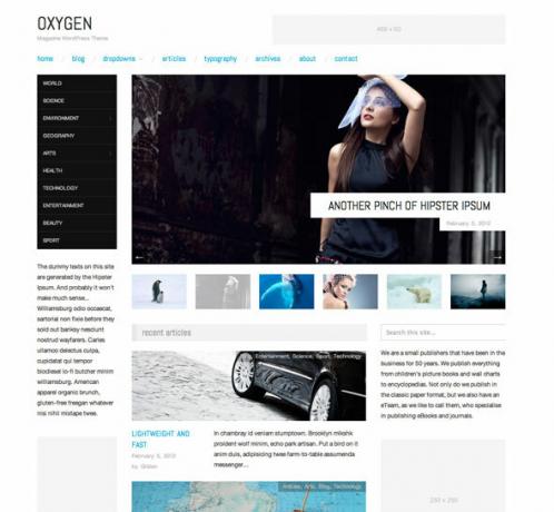 magazin wordpress téma