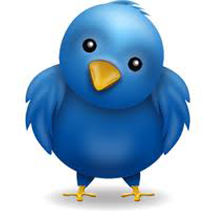 twitter android alkalmazás