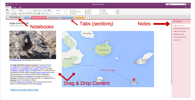 A OneNote szervezet példaképe