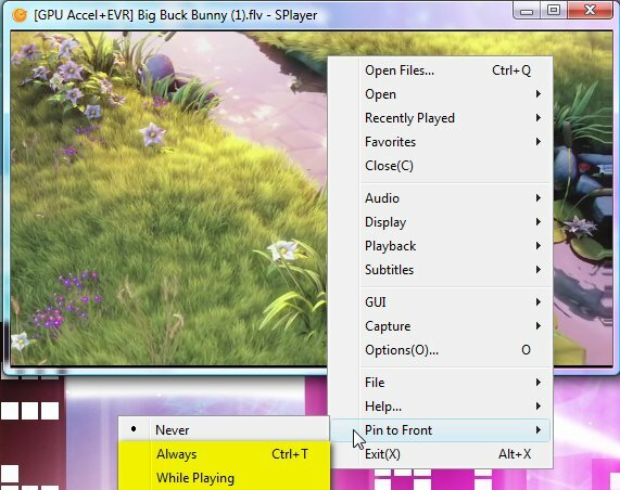 Player – Hordozható Play-All Media Player Windows 8b rendszerhez