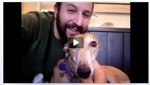 A Facebook bemutatja a videohívásokat a Skype segítségével [Hírek] Video Chat Dog